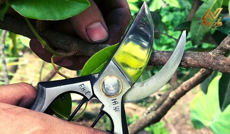 Kéo cắt cành Thử Lửa
