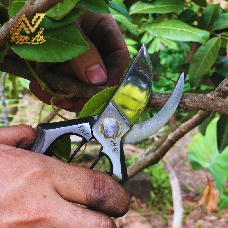 keo-cat-canh-fr-c3 Gallery 4 - Kéo cắt cành Thử Lửa