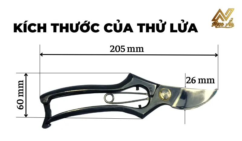 Kích thước của Thử Lửa
