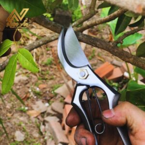 Gallery 3 - Kéo cắt cành Thử Lửa