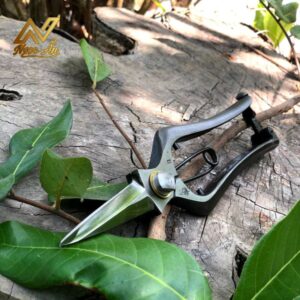 Gallery 5- Kéo tỉa tán BT-L