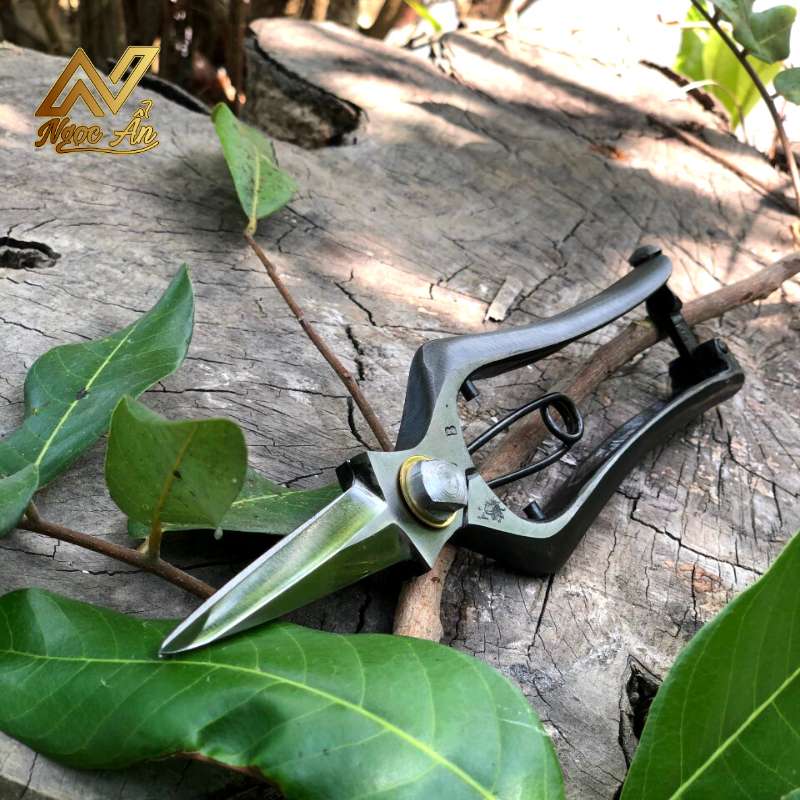 keo-cat-canh-bt-l3 Gallery 5- Kéo tỉa tán BT-L