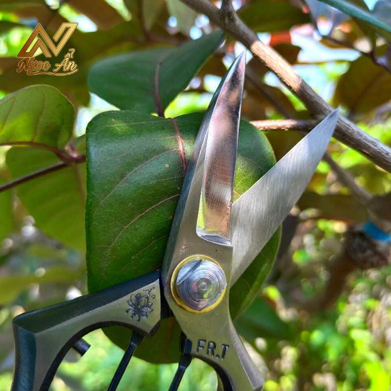 keo-cat-canh-giu-lua1