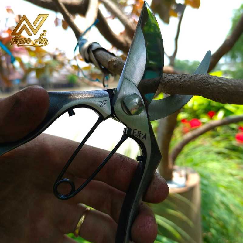 keo-cat-canh-them-lua2 Gallery 1 - Kéo cắt cành Thêm Lửa