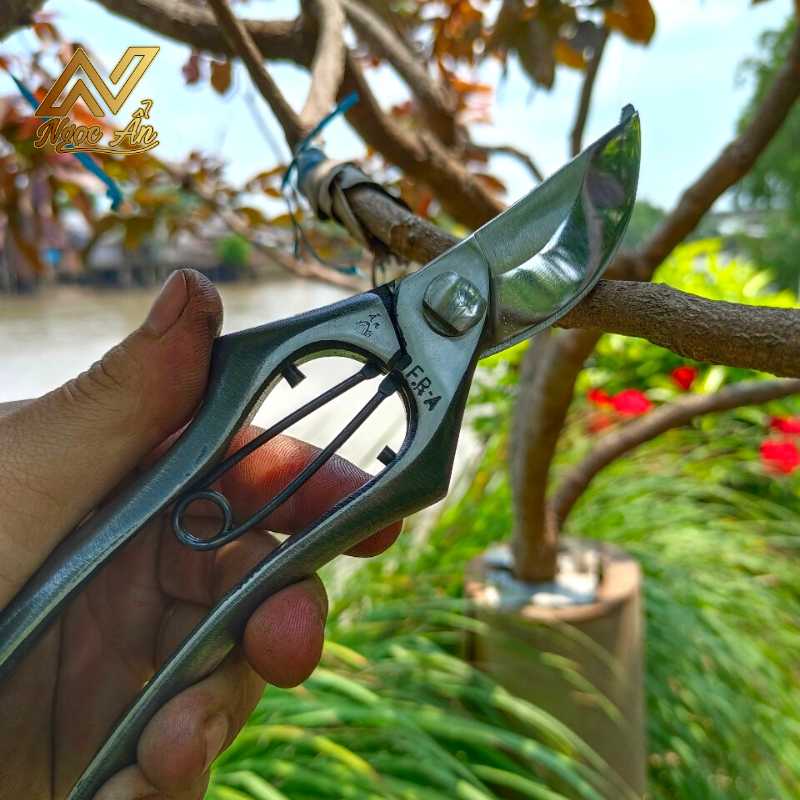 keo-cat-canh-them-lua3 Gallery 2 - Kéo cắt cành Thêm Lửa