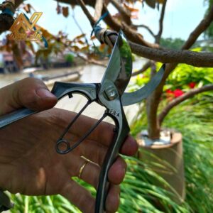 Gallery 3 - Kéo cắt cành Thêm Lửa