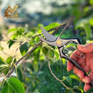 Gallery 5 - Kéo tỉa nụ FR.N