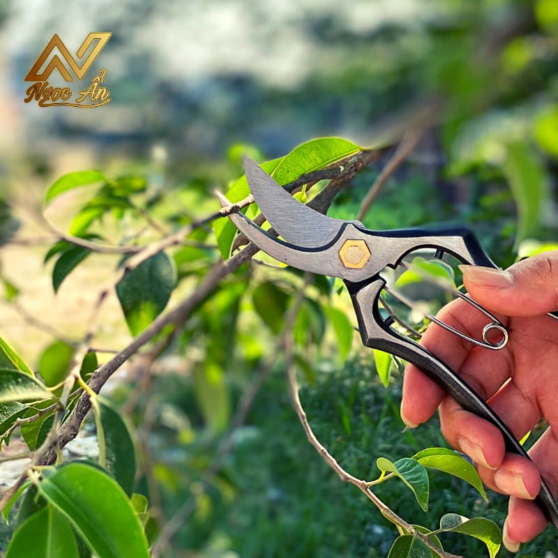 keo-tia-nu-fr-n Gallery 5 - Kéo tỉa nụ FR.N