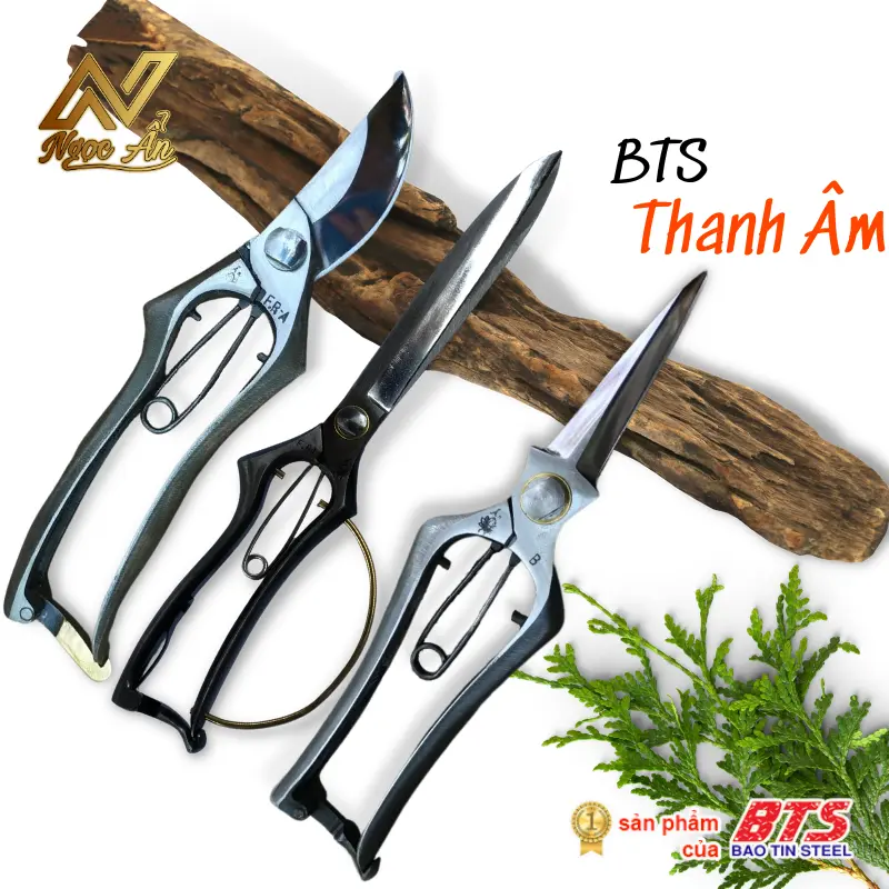 Bộ sưu tập Thanh Âm