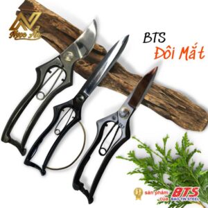 Bộ sưu tập Đôi Mắt