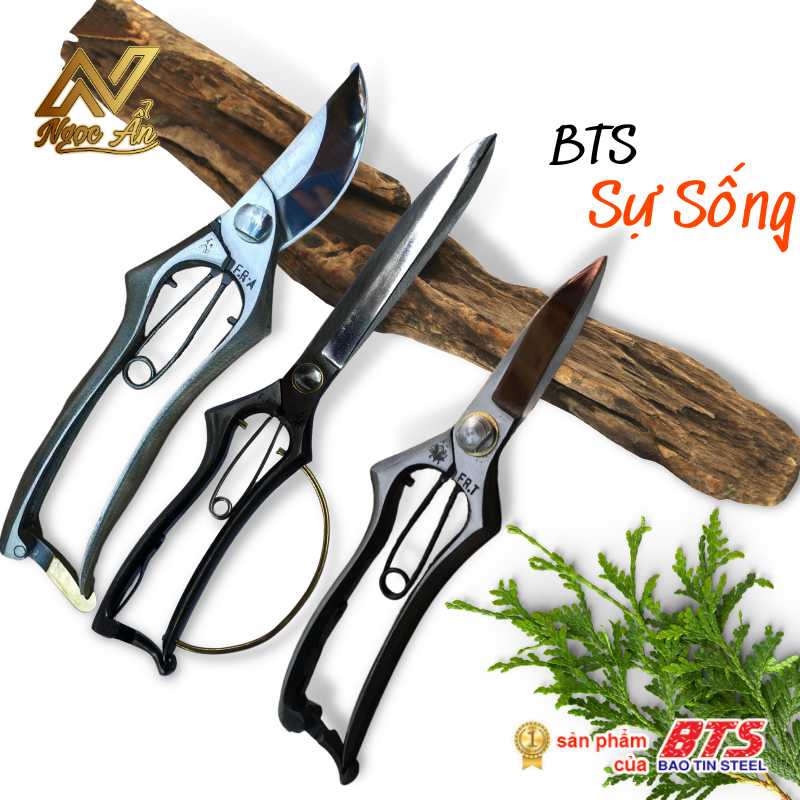 bst-su-song1 Bộ sưu tập Sự Sống