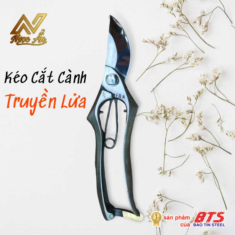 bst-su-song2 Gallery 1 - Sự Sống