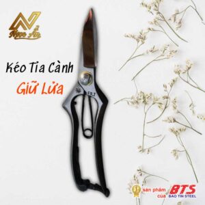 Gallery 3 - Sự Sống