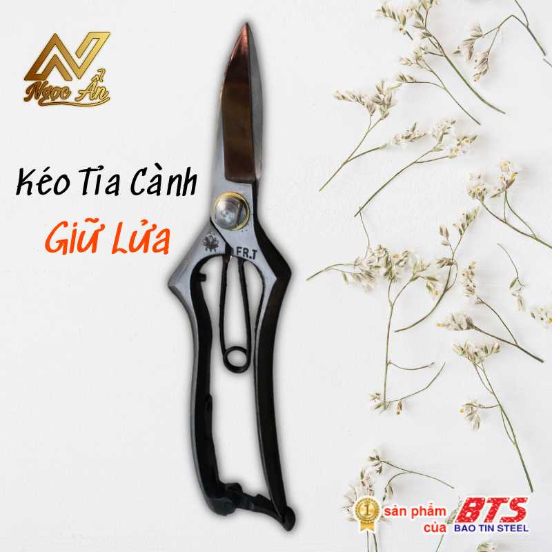 bst-su-song4 Gallery 3 - Sự Sống