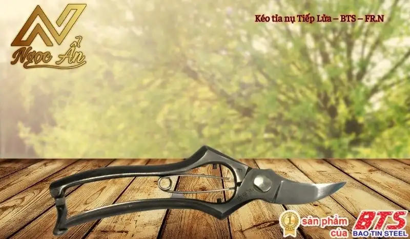 Kéo tỉa nụ