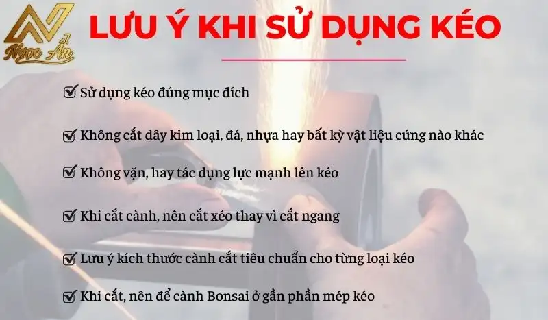 Lưu ý khi sử dụng kéo cắt cành