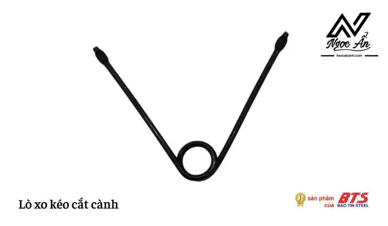 Lò xo kéo cắt cành